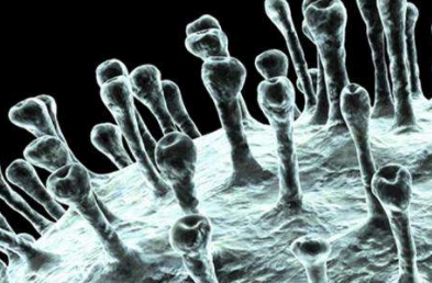 ����W(w��ng)�u�������P(gu��n)�죬�M��˦�