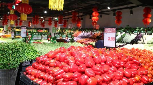 ��������˻@�� ����������g���11�Ѕ^(q��)�@����