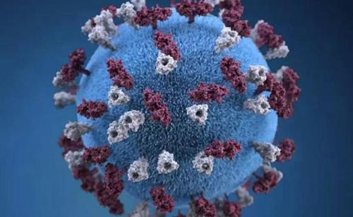 ȫ�������¹ڷ��״_�\����2829������Ӌ�_�\17205��