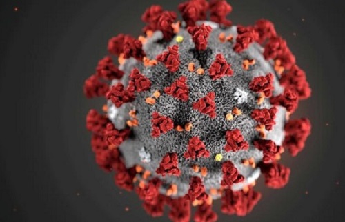 �¹ڲ����l(f��)��׃�����²�������(qi��ng)�ˆ᣿