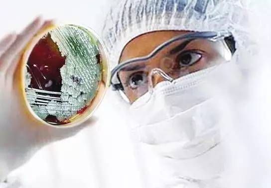 ȫ����һ�����ڶ������z�w���ʫ@�õ��¹ڷ��ײ�������͙z