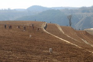 ������Ͽh�����(zh��n)����(zh��n)����ץ���� �_���r(n��ng)�I(y��)���a(ch��n)�_�þ�