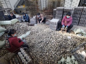 ����(zh��n)�Ϳh��ץ�r�r����ˎ�ď͹��ͮa