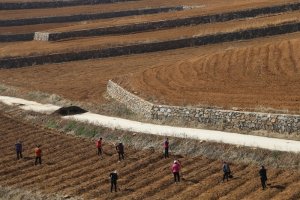 ������Ͽh�����(zh��n)��̶�壺�������һ��������(g��)����ľ�m��