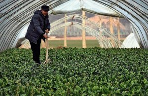 <b>������ָ�ϡ�Ҏ(gu��)��֮�ߡ��������С�</b>