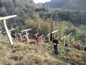 �����ƺ�h�T�ҺӴ���֧���M��ؚ���ڄ����e�O�͹��ͮa(ch��n)