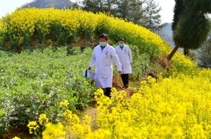 �������(qi��ng)�h���҉��t(y��)Ժ��t��������ط�ؚ����(ji��n)����ץ