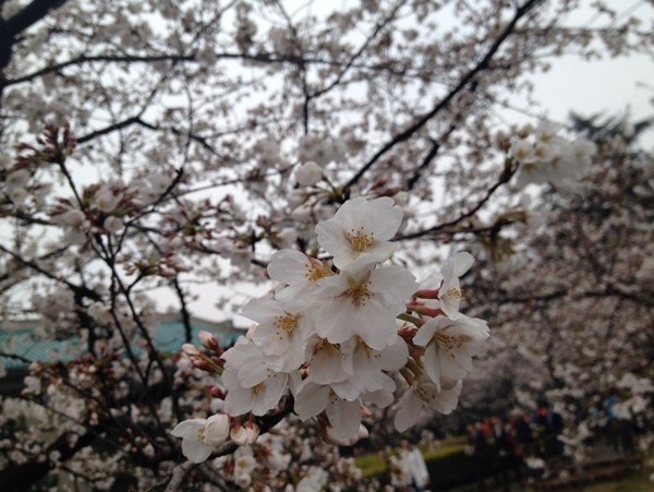 ��ʮ���������h ��e�r��(ji��)�ѻ�ʢ�_