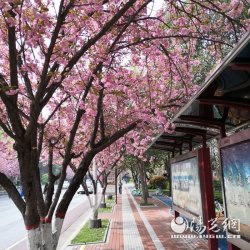 Ԯ�����������������ʹ��I���� ���x�x�ゃ�������Ĵ����ͽo�҂�����