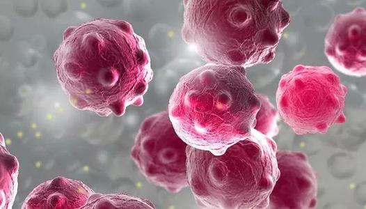 �����������İl(f��)����ʾ ֔(j��n)����(x��)����ʳԴ�Լ���