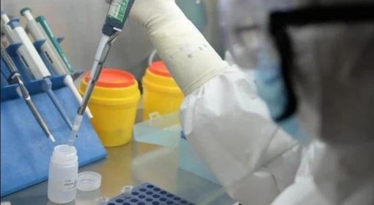 31ʡ�������_�\����12�� ���о���ݔ�벡��11��