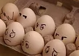 �������u��