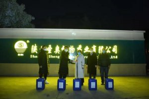 �ܺ��³ǣ����ąR�������������