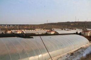 ��ꖣ����Ϲ��߹��� Ⱥ������ُ�I